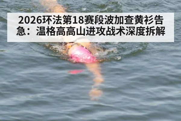 2026环法第18赛段波加查黄衫告急：温格高高山进攻战术深度拆解