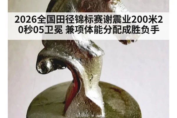2026全国田径锦标赛谢震业200米20秒05卫冕 兼项体能分配成胜负手