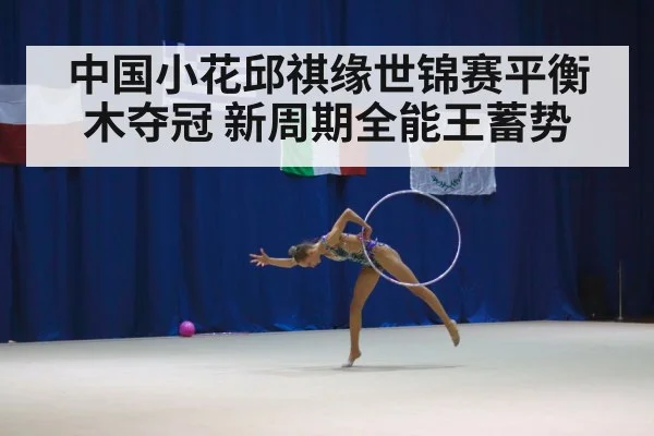 gymnastics all-around competition